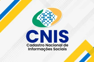 como-emitir-extrato-cnis-e-o-que-significa