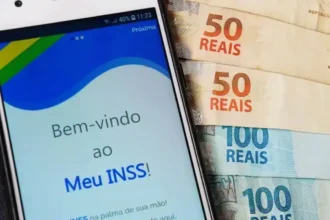 tualizar-os-dados-do-meu-inss