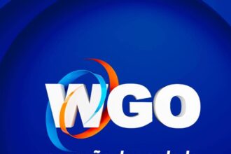 Telefone da Wgo Multimidia