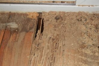 Como tirar cupim da porta